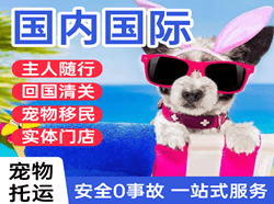 西宁曹家堡空运国际宠物托运 【国